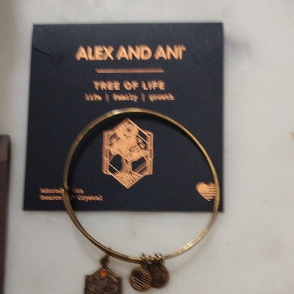 Alex and Ani Gold Charm Bangles - Picture 5 of 8